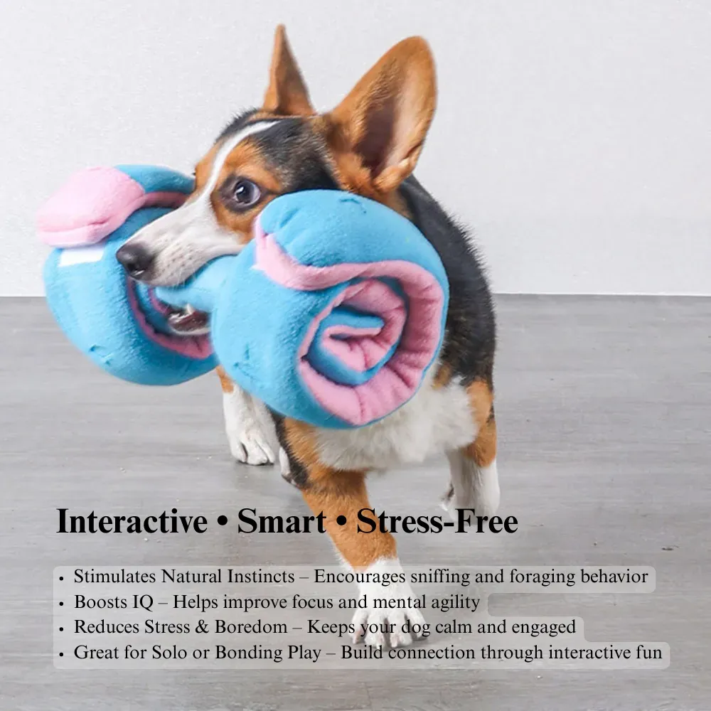 Interactive Dumbbell Shaped Dog Toy with Squeaker and Treat Holder