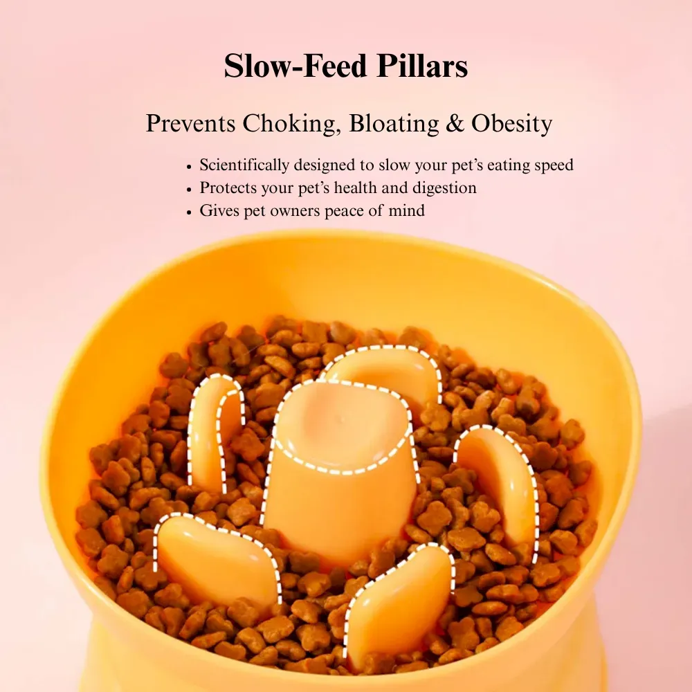 Elevated Dog Slow Feeder Bowl Anti Spill for Small Breeds