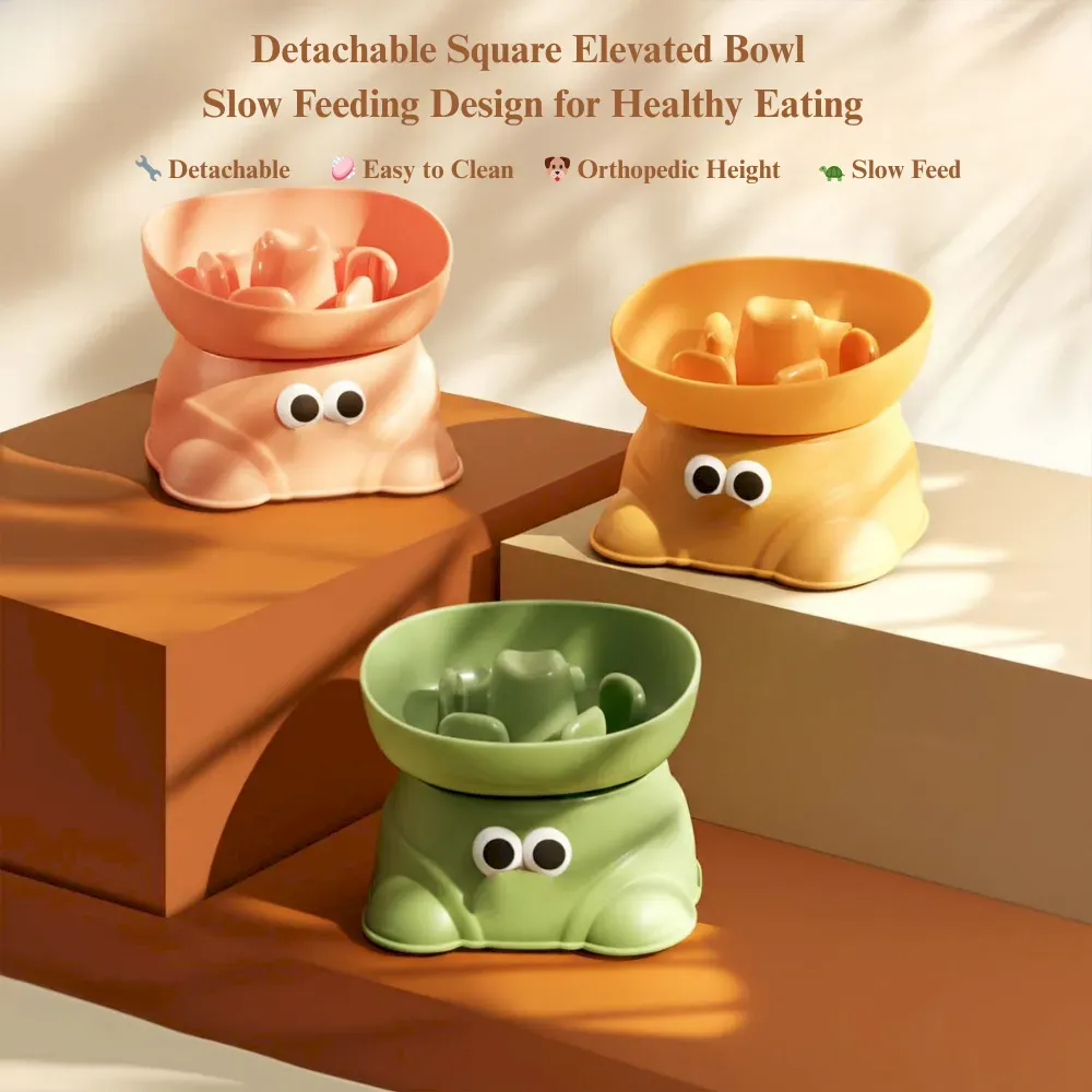Elevated Dog Slow Feeder Bowl Anti Spill for Small Breeds