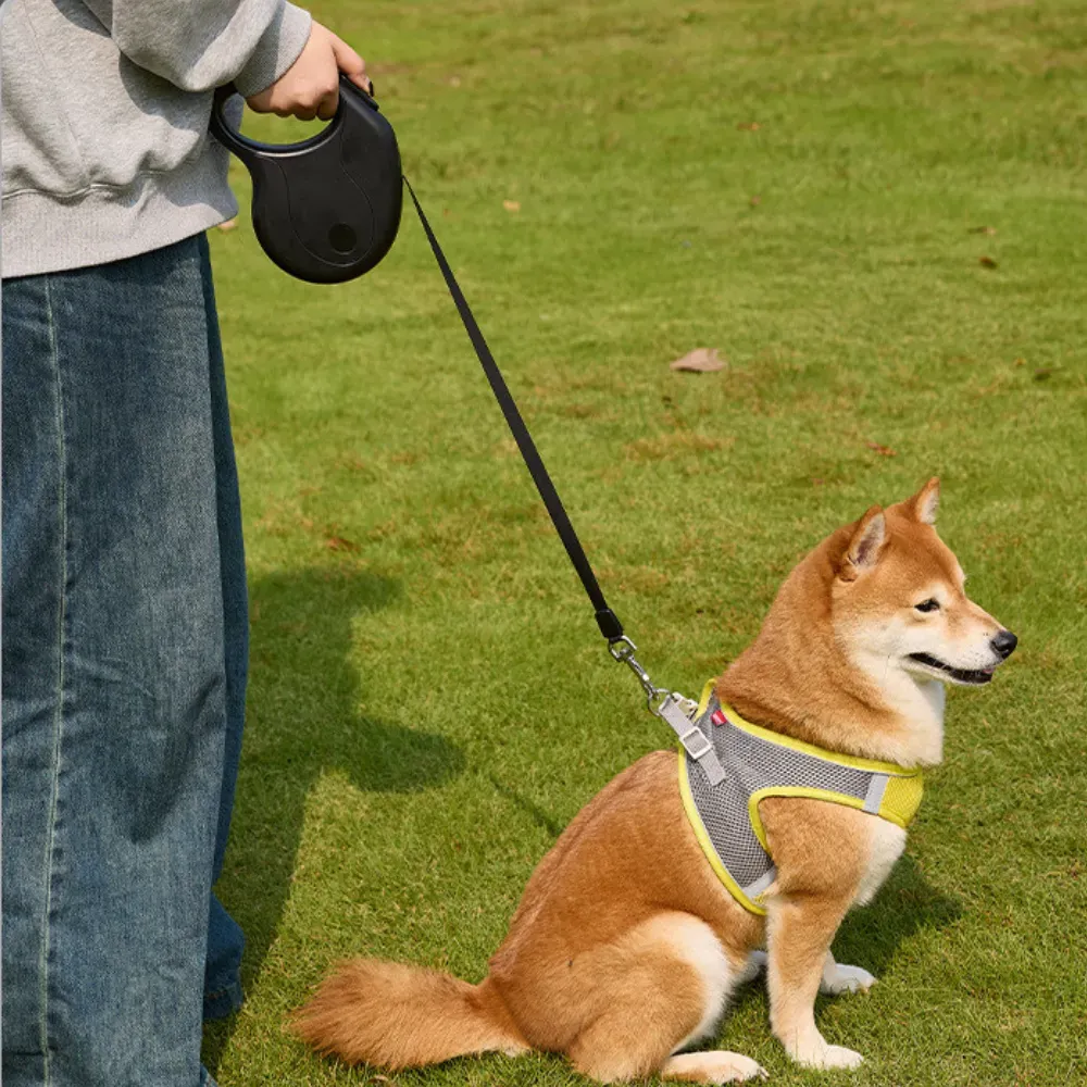 Retractable Dog Leash_6 Retractable Dog Leash_6