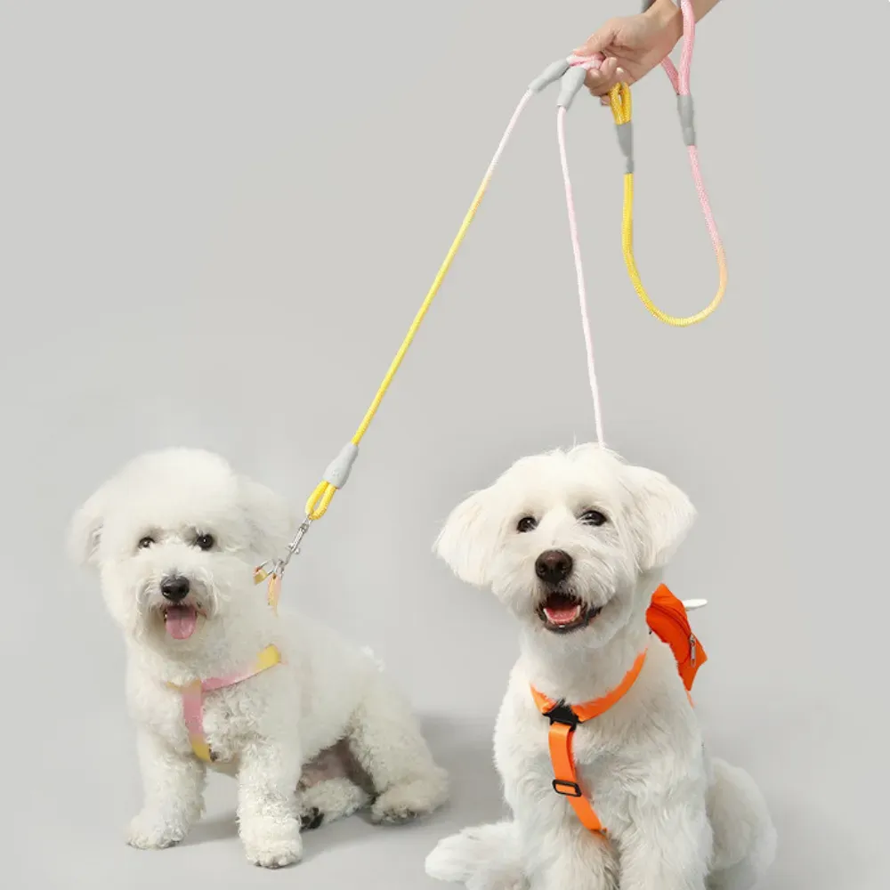 Double Dog Leashes_10 Double Dog Leashes_10