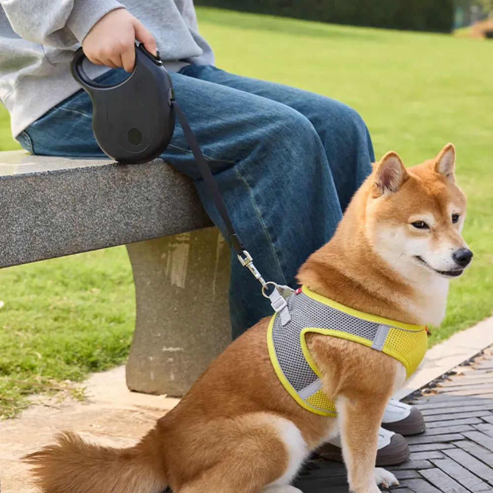 Retractable Dog Leash_7 Retractable Dog Leash_7