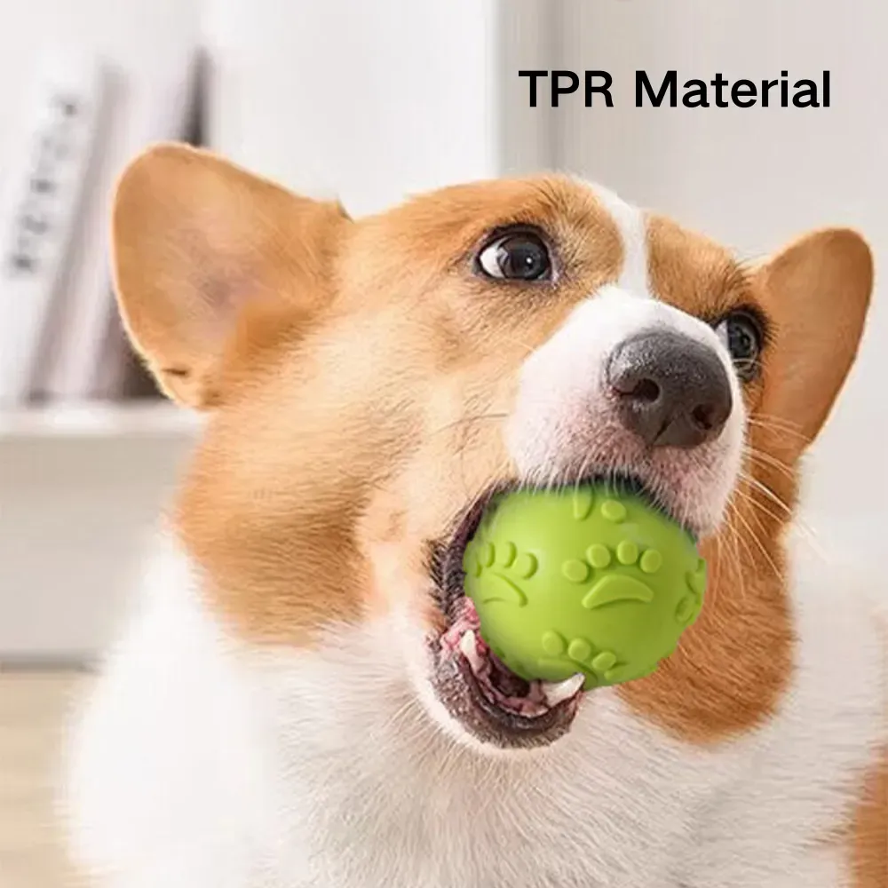 Dog Ball_7