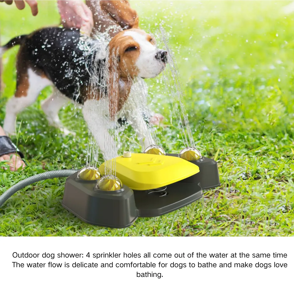 Pet Water Toy Pet Water Toy