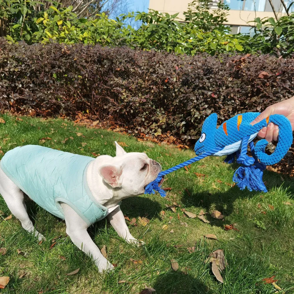  Chameleon Interactive Durable Squeaky Dog Toy_2