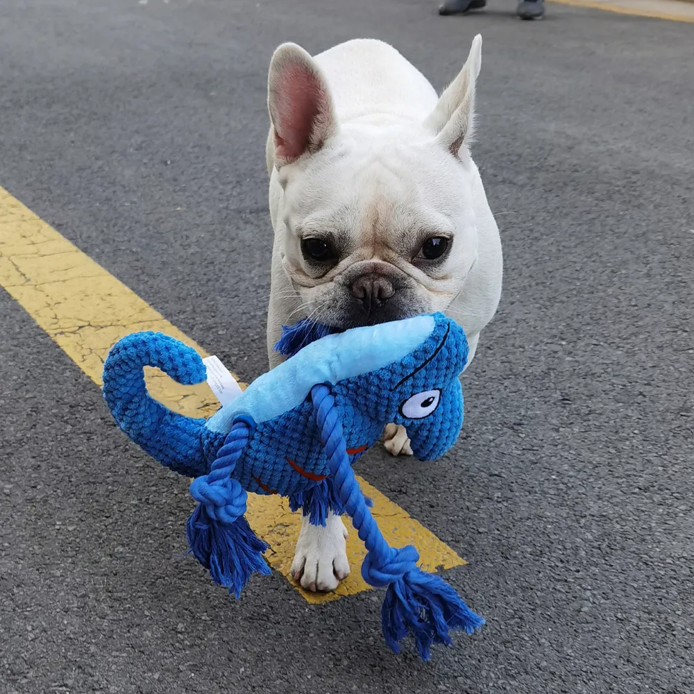 Chameleon Interactive Durable Squeaky Dog Toy