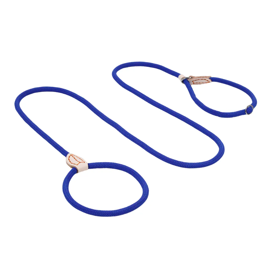 Pet Leash