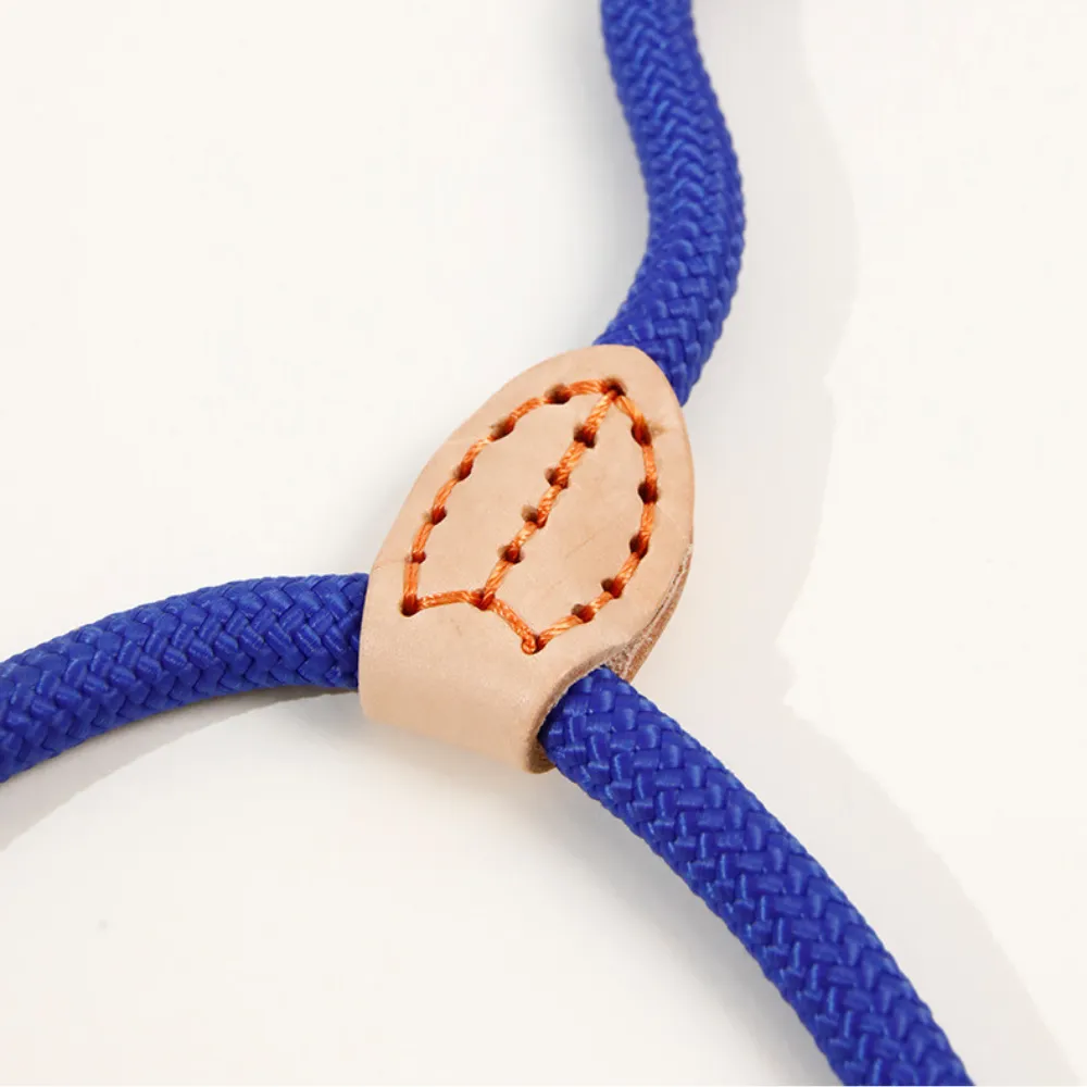 Pet Leash