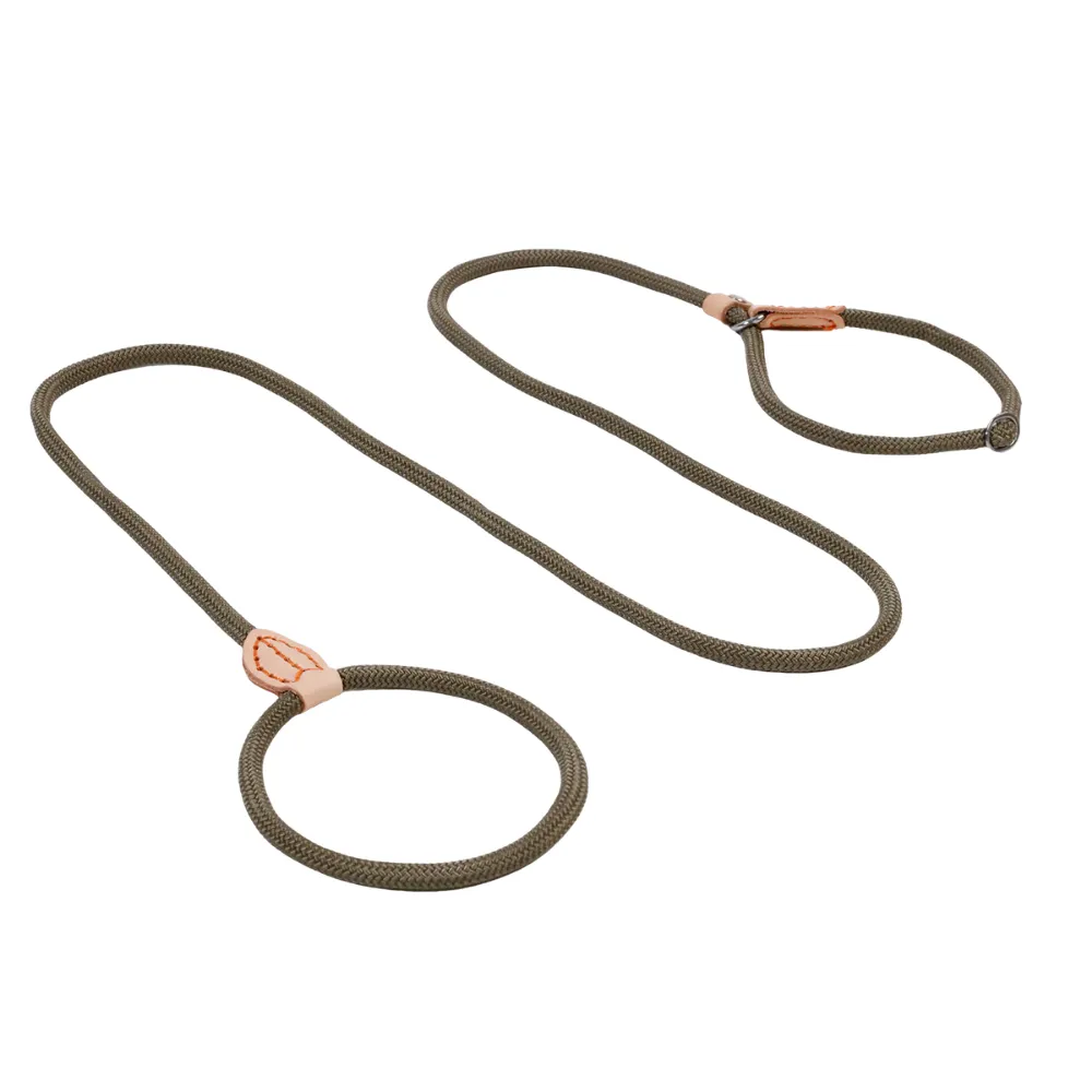 Pet Leash