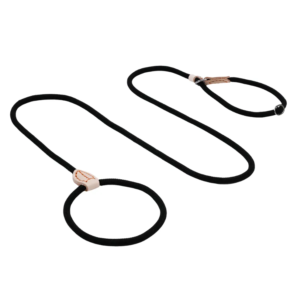 Pet Leash