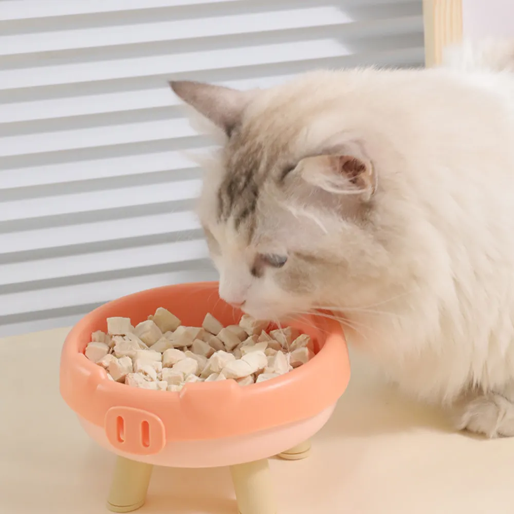 Four-Paw Pig Snout  PP Cat Bowl_3