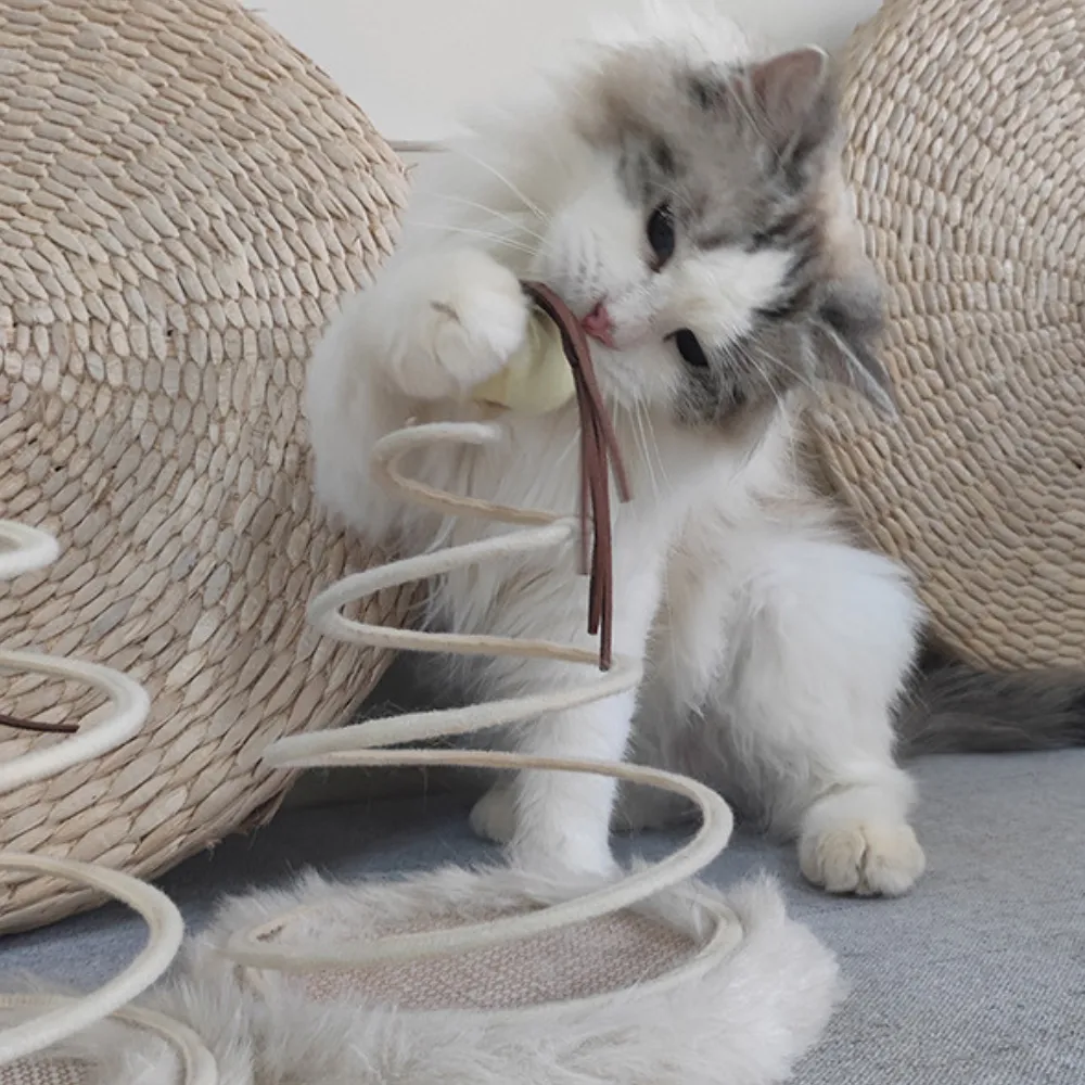 Mouse Fish Style Plush Cat Toy_4