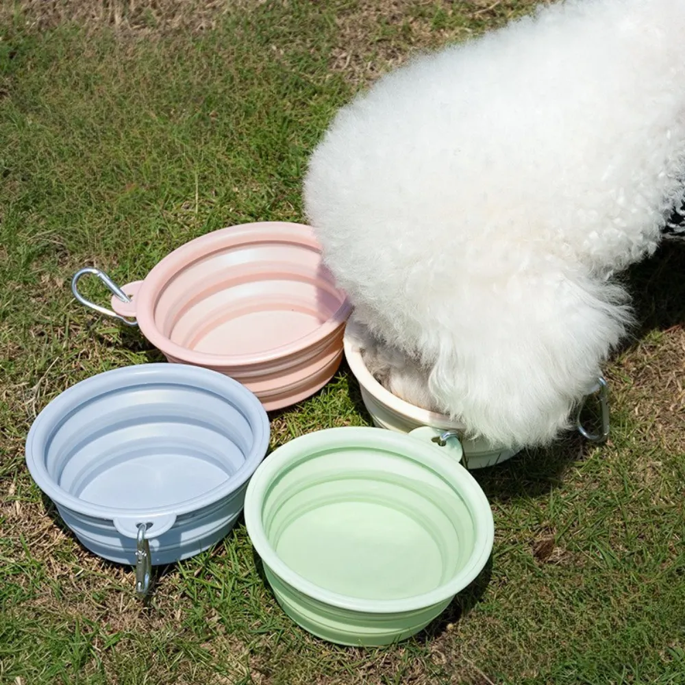 Collapsible Pet Bowls