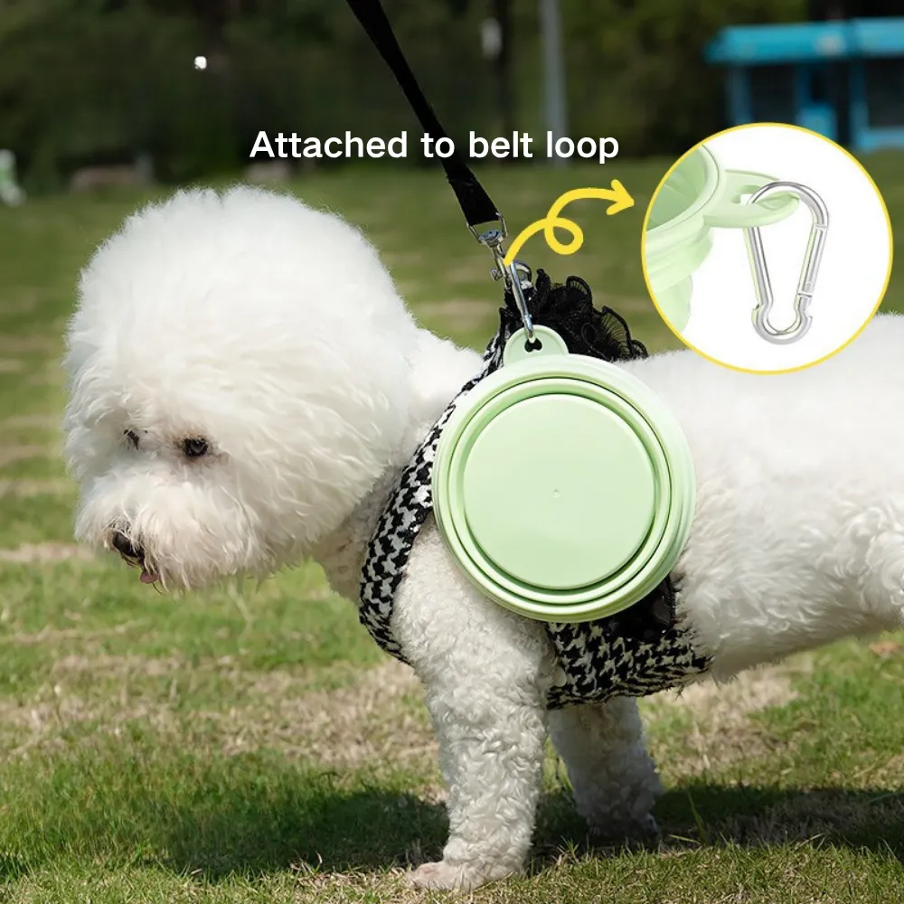 Collapsible Dog Bowls