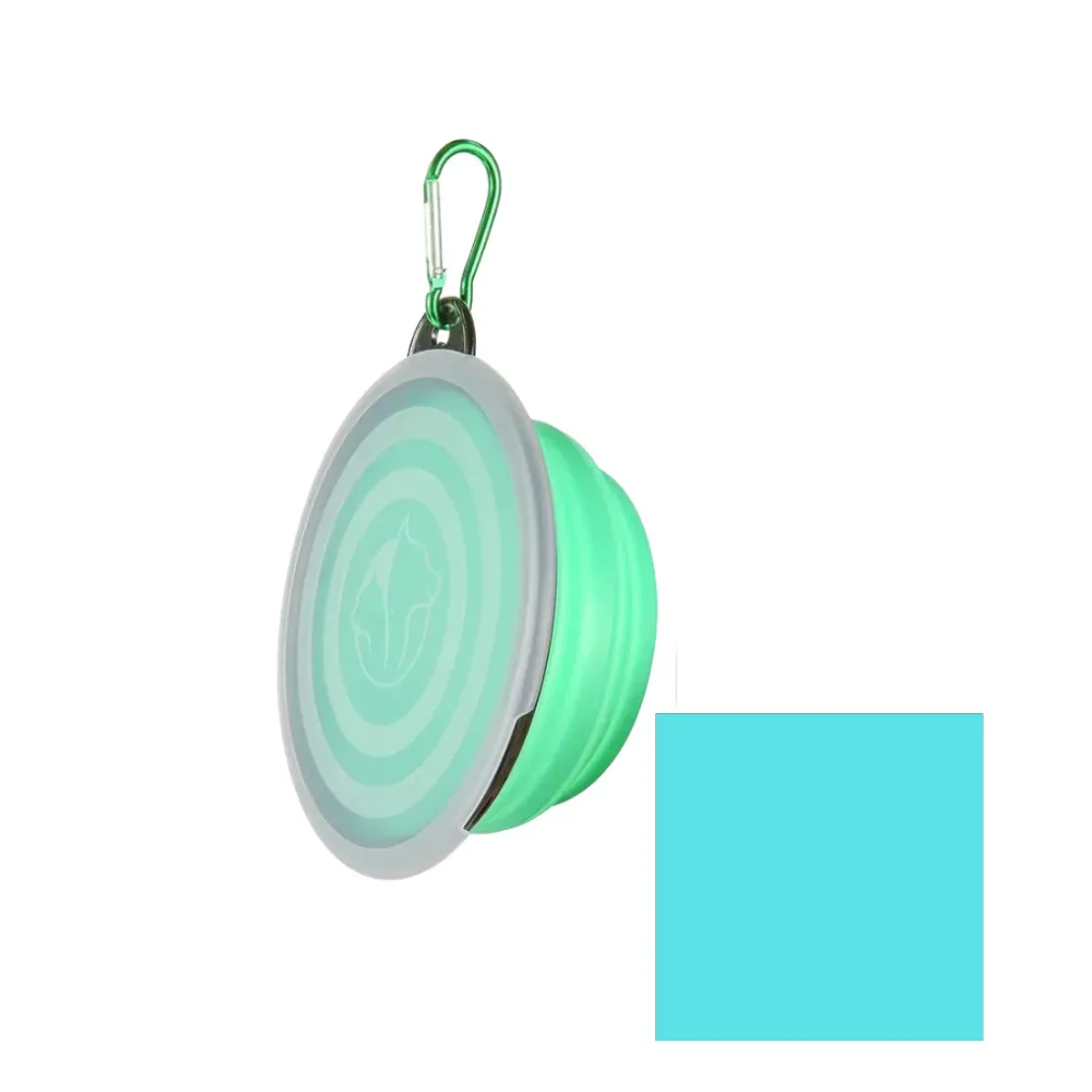 dog bowls light blue