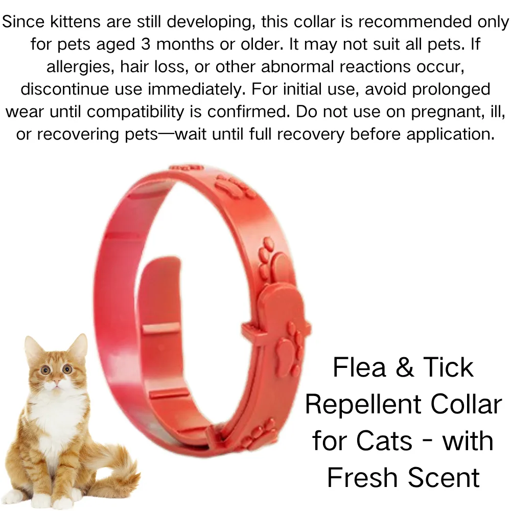 Collar with Fresh Scent_5