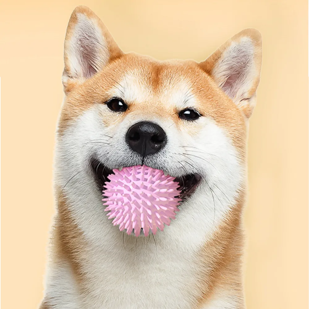Pet Teeth Cleaning Ball