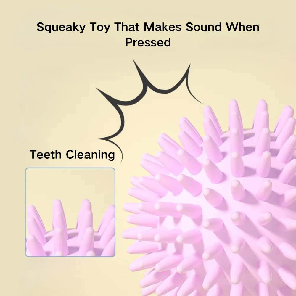 Pet Teeth Cleaning Ball Detail