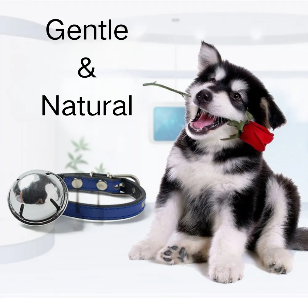 PU Leather Pet Collar with Bell_5
