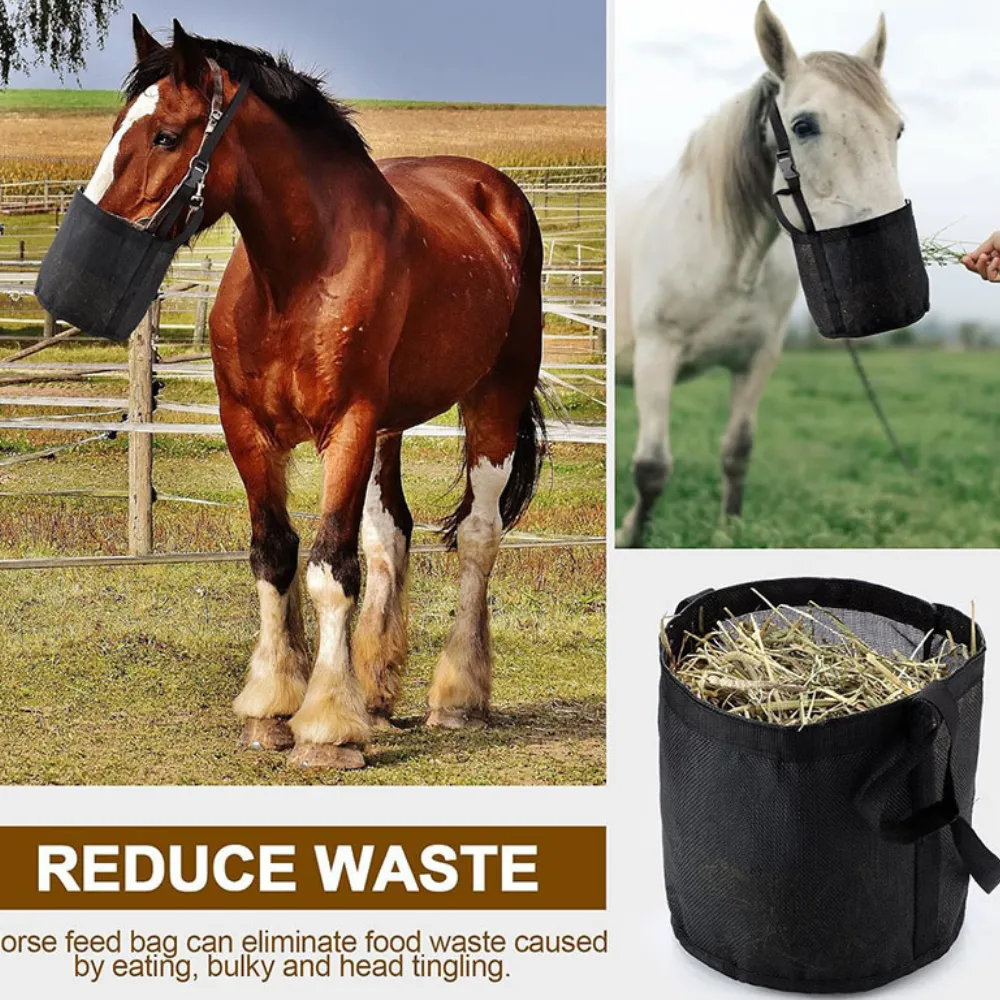 Feed Bag for Horses with Neck Pad_2