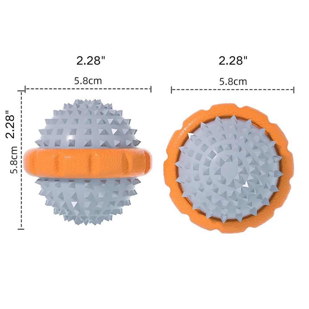 Interactive Squeaky Pet Toy for Dog Outdoor Training and Play