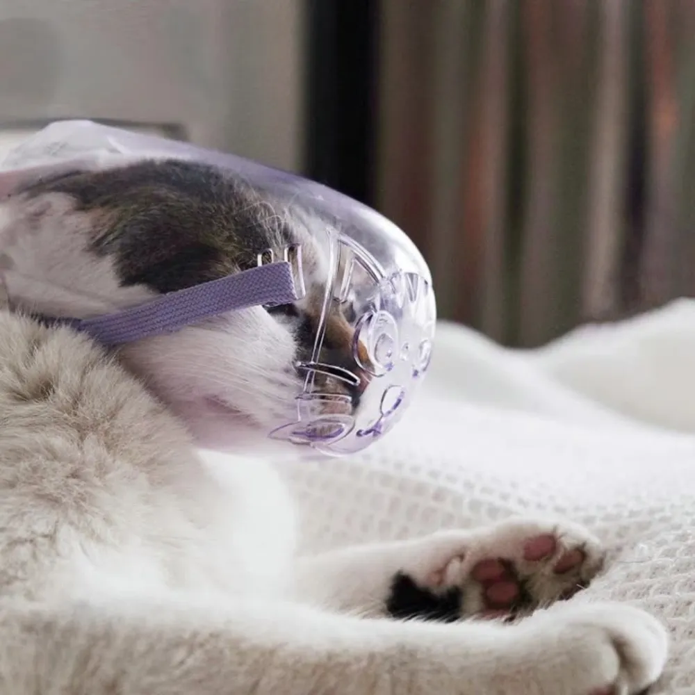 Adjustable Transparent Grooming Muzzle Breathable PC Pet Head Cover_3