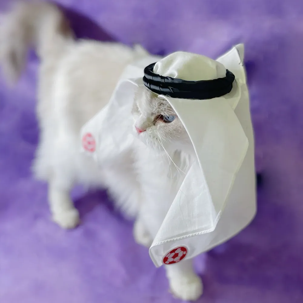Luxury Handmade Saudi Style Pet Headscarf Hat for Cats