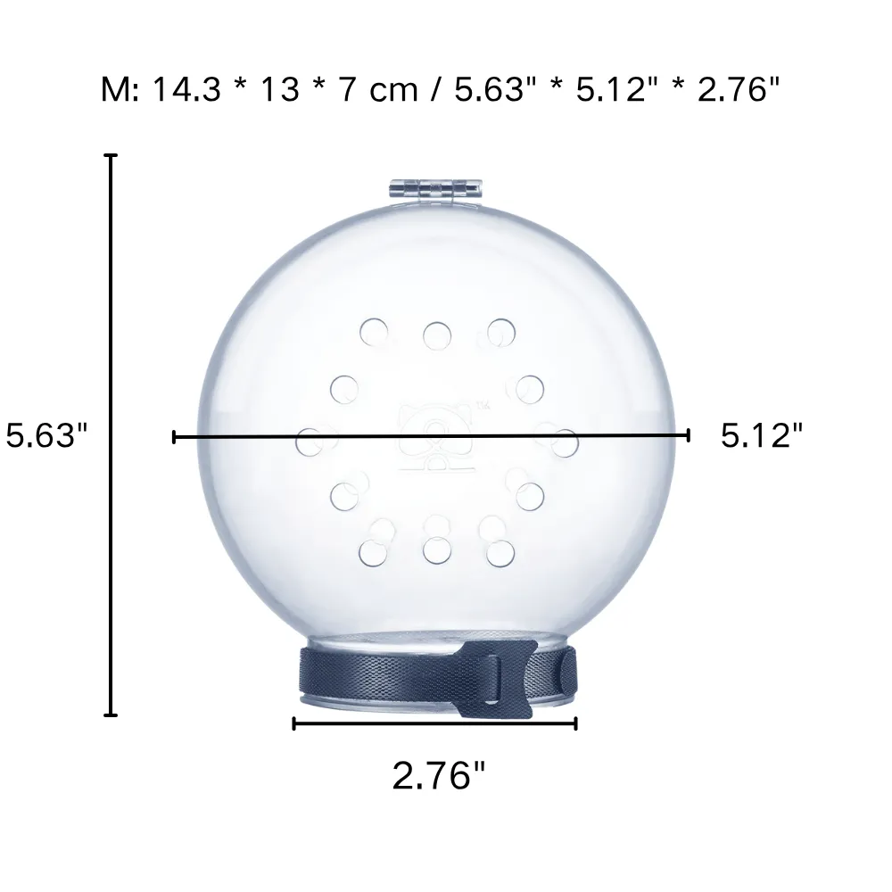 Transparent Pet Recovery Cone and Breathable Anti-Bite for Cats and Small Dogs Transparent Pet Recovery Cone and Breathable Anti-Bite for Cats and Small Dogs
