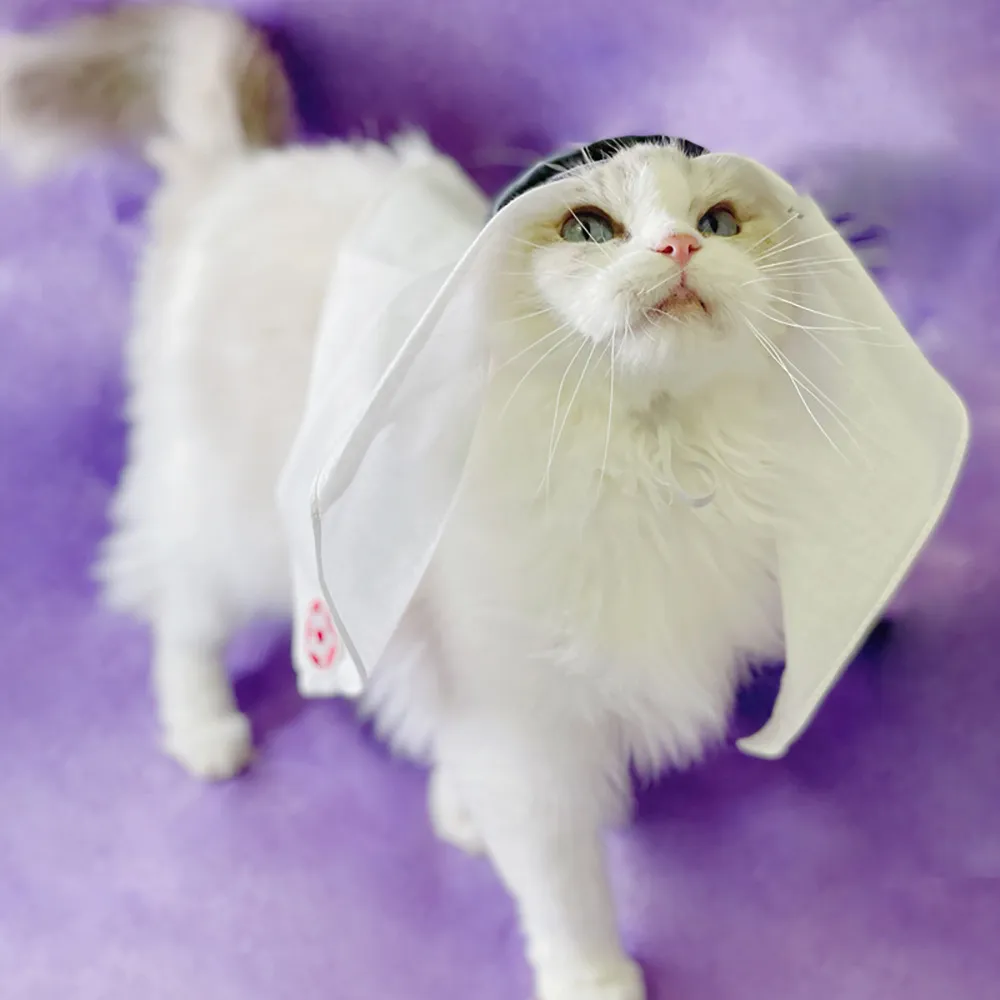 Luxury Handmade Saudi Style Pet Headscarf Hat for Cats