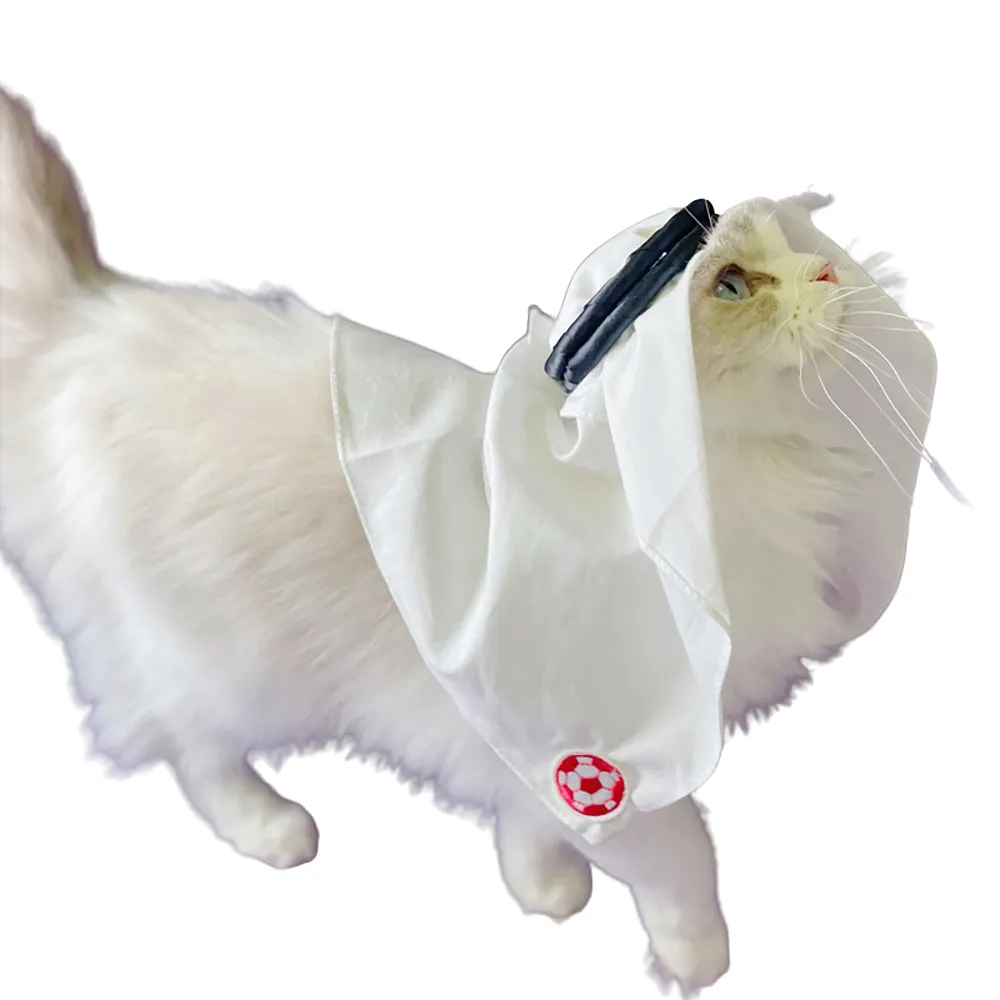 Luxury Handmade Saudi Style Pet Headscarf Hat for Cats