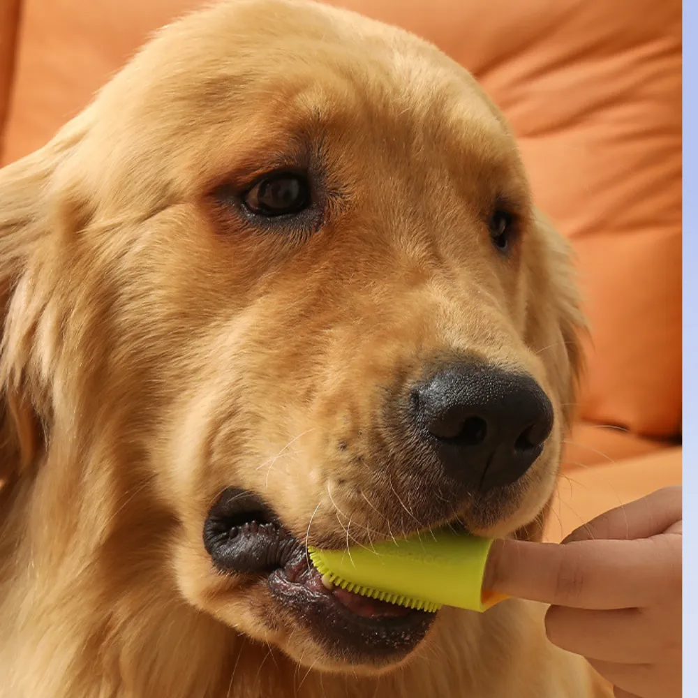 Silicone Finger Toothbrush for Dogs and Cats Care Tool