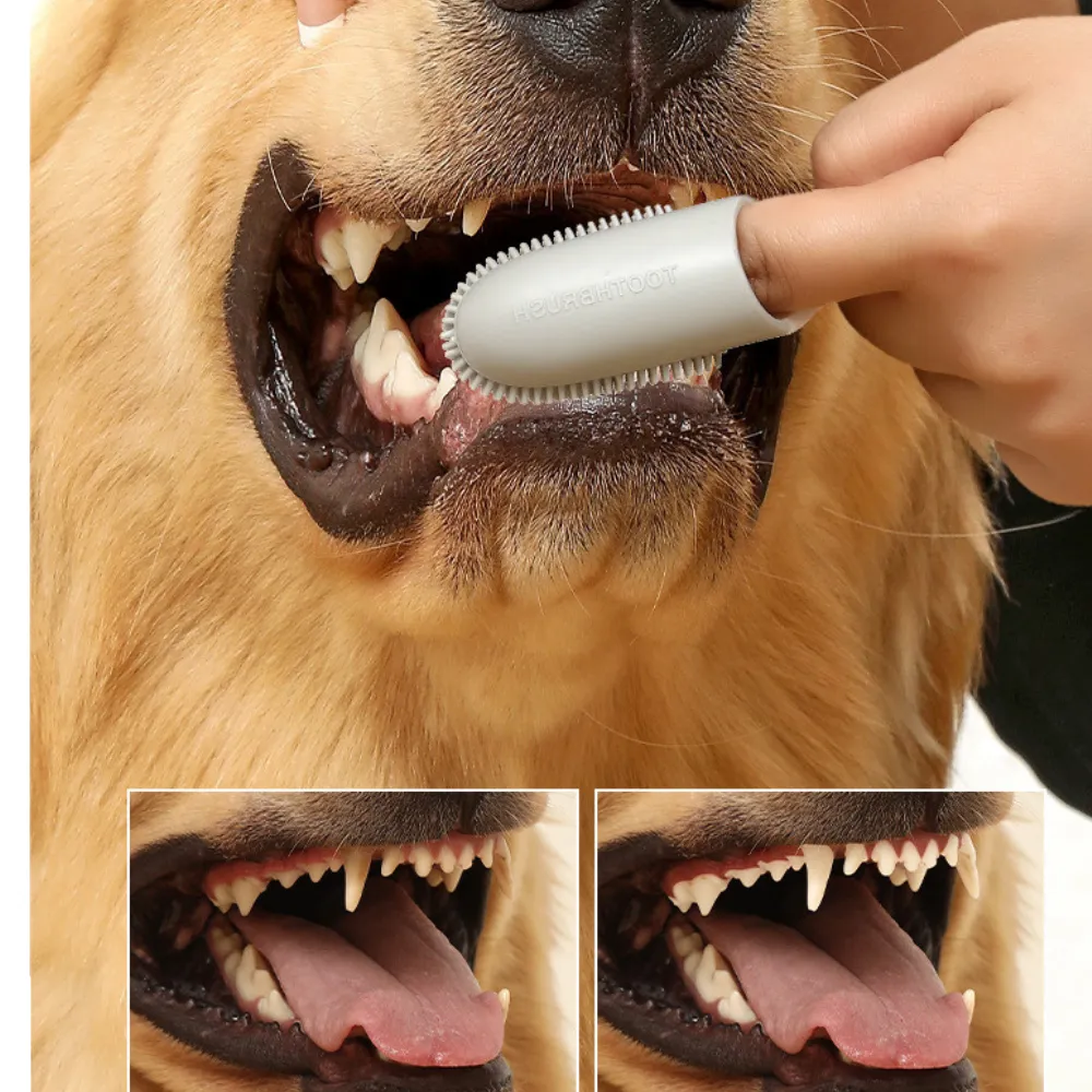 Silicone Finger Toothbrush for Dogs and Cats Care Tool