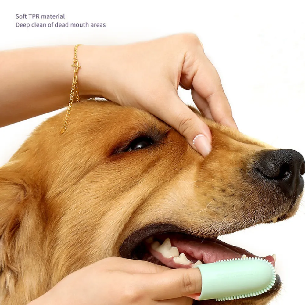 Silicone Finger Toothbrush for Dogs and Cats Care Tool