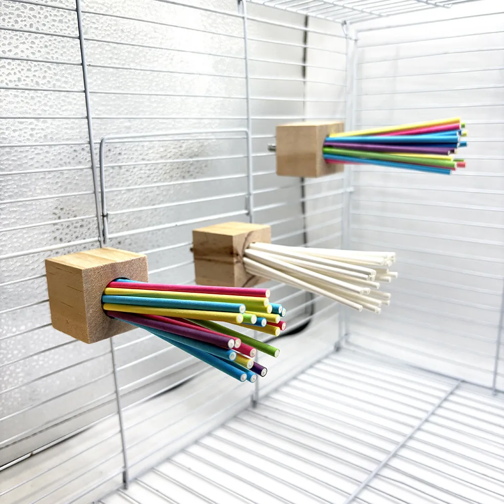Colorful Hanging Bird Perch with Chewable Paper Sticks3