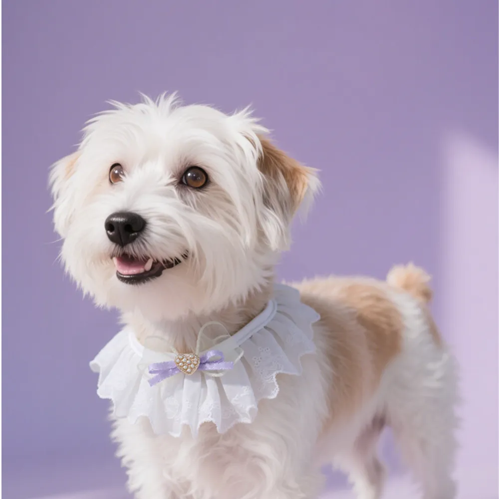 3 Colour Pet Neck Accessory Cute Knitted Cat Collar