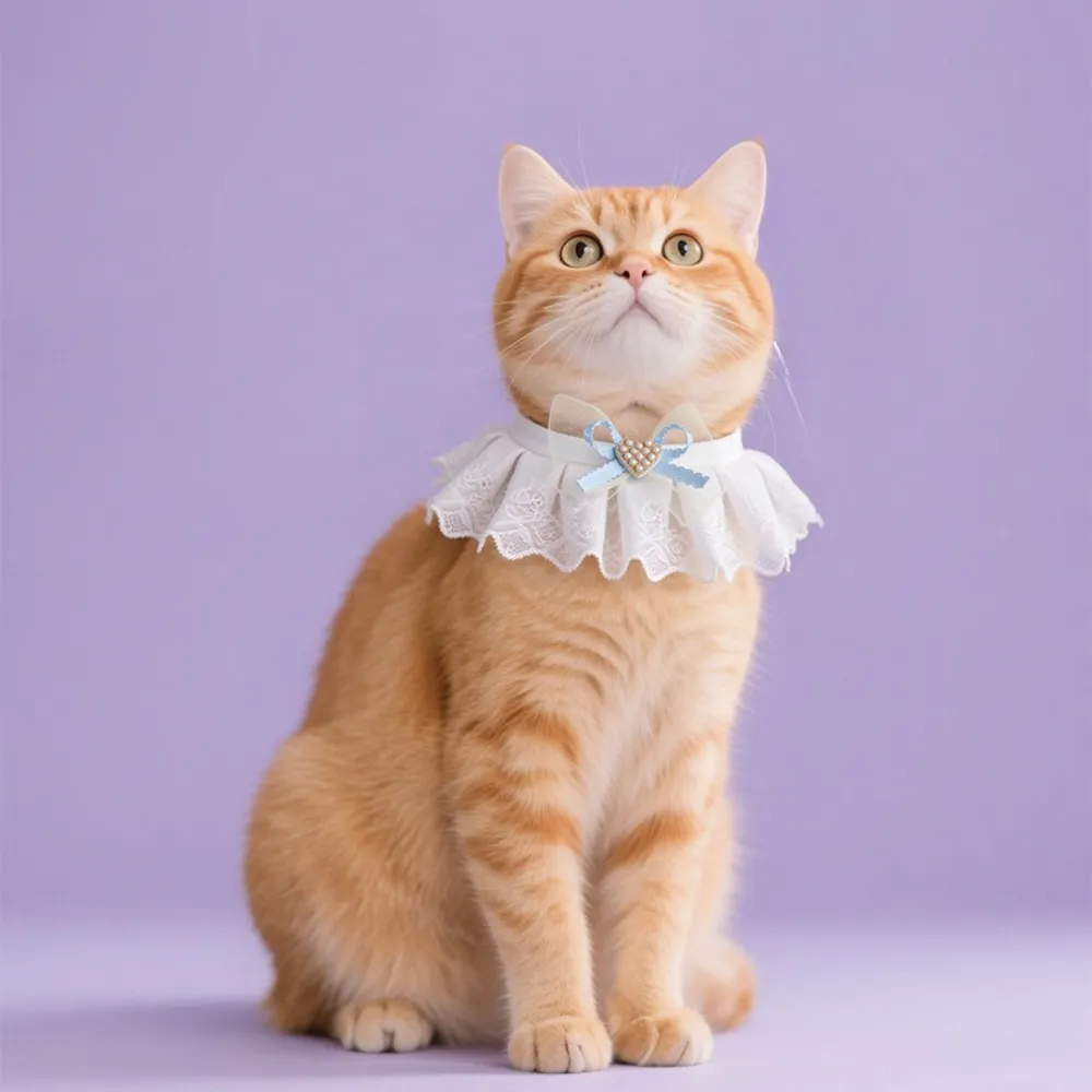 3 Colour Pet Neck Accessory Cute Knitted Cat Collar