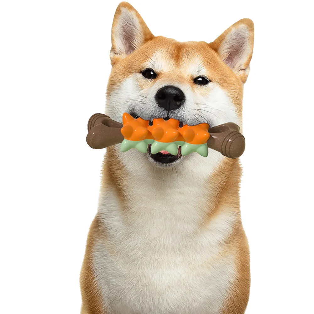 Bone TPR Dog Chew Toy Durable Teething Toy for Small Dogs