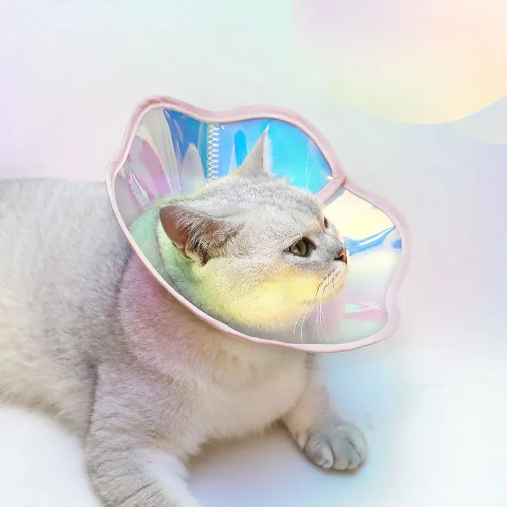 wholesale pet Elizabeth Colorful Flower PVC Pet Elizabeth Collar Dog Cat Bite Lick Protection Neck