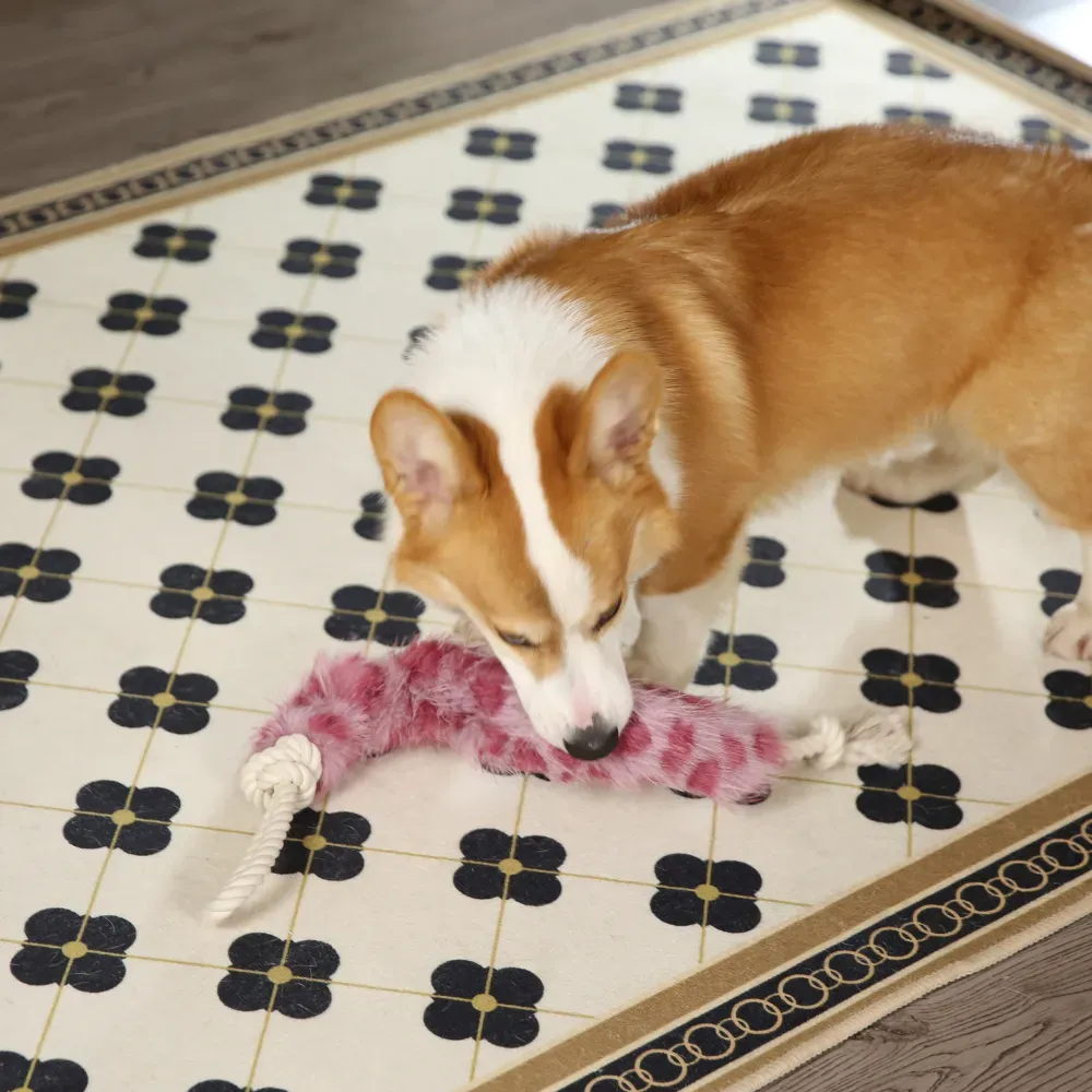 Plush Pet Toys_9