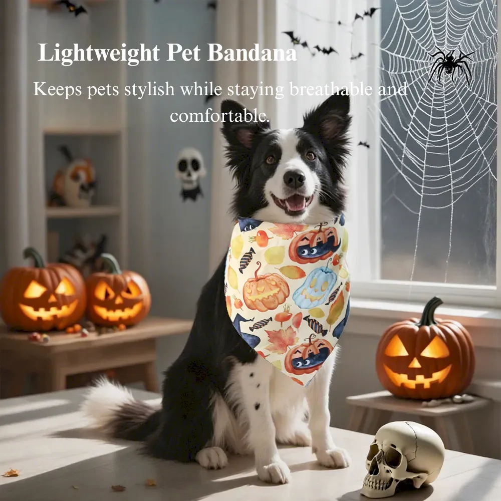 Halloween dog cat accessory