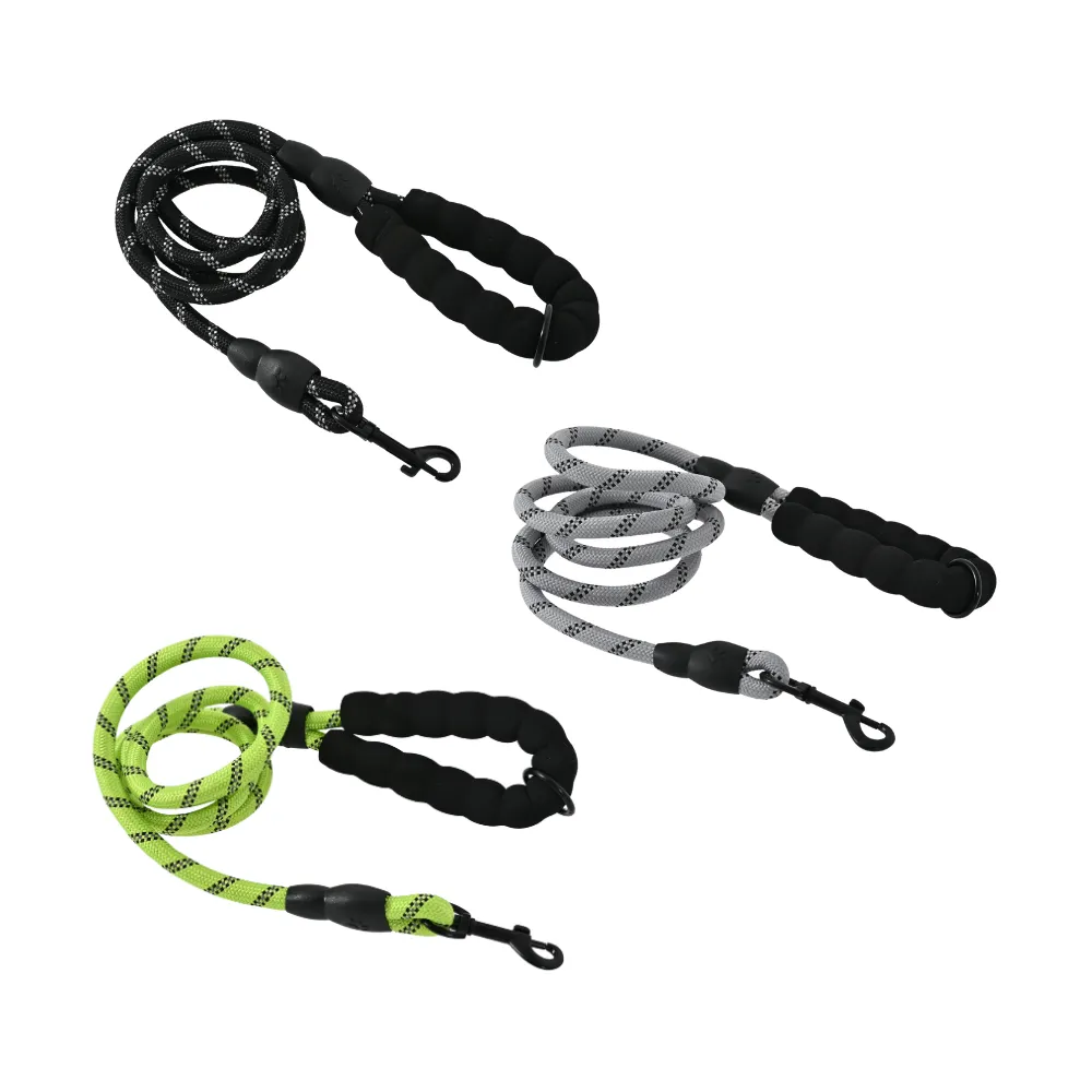 Dog Leash-首图