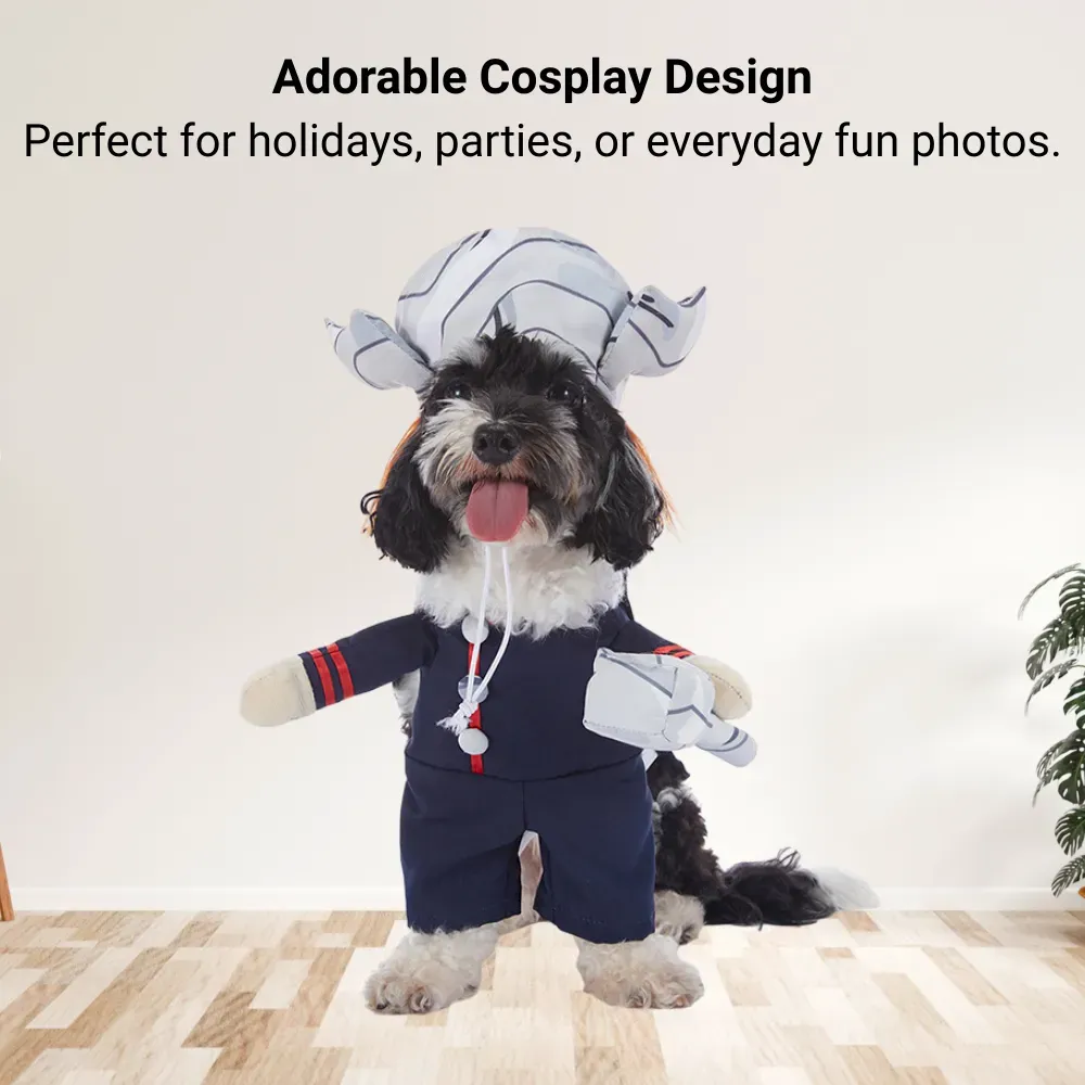 all-season pet costume