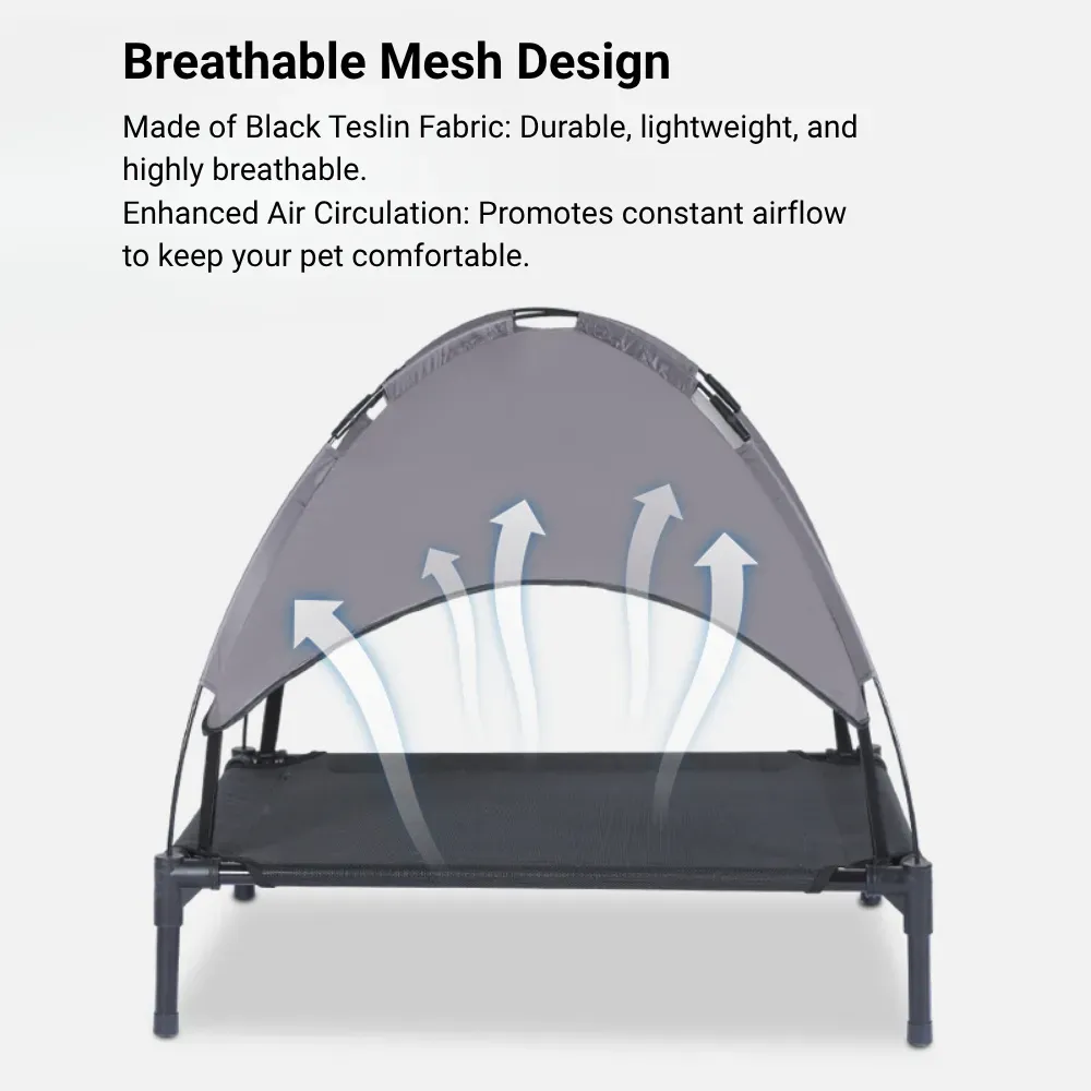 canopy dog bed