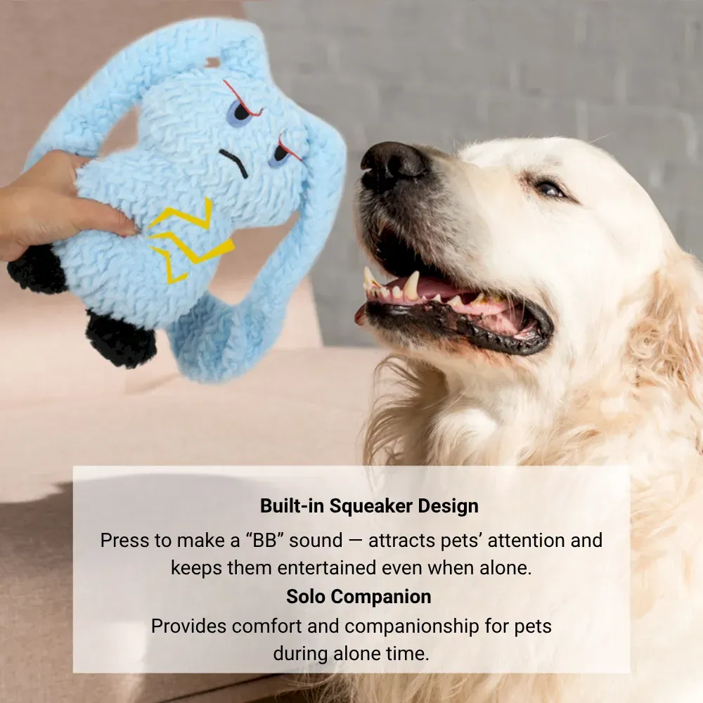 Squraky Dog Toy
