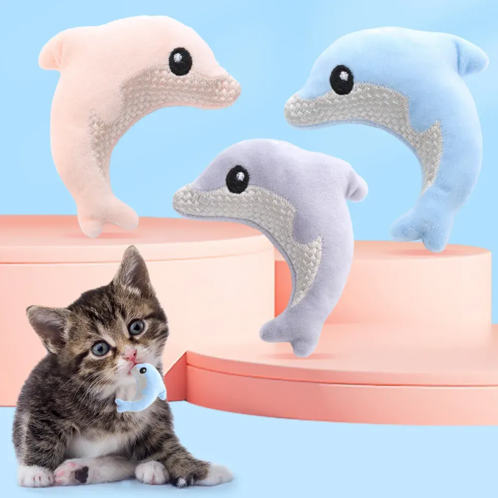 cat play set
