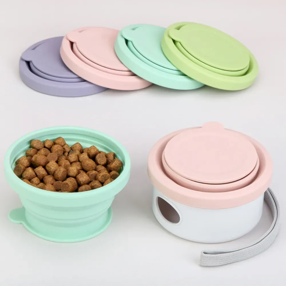 dog outdoor feeder