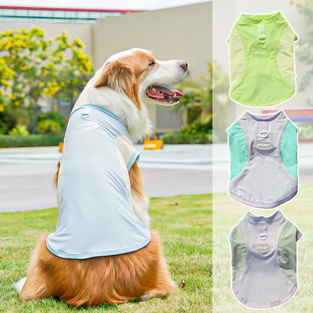mesh dog vest