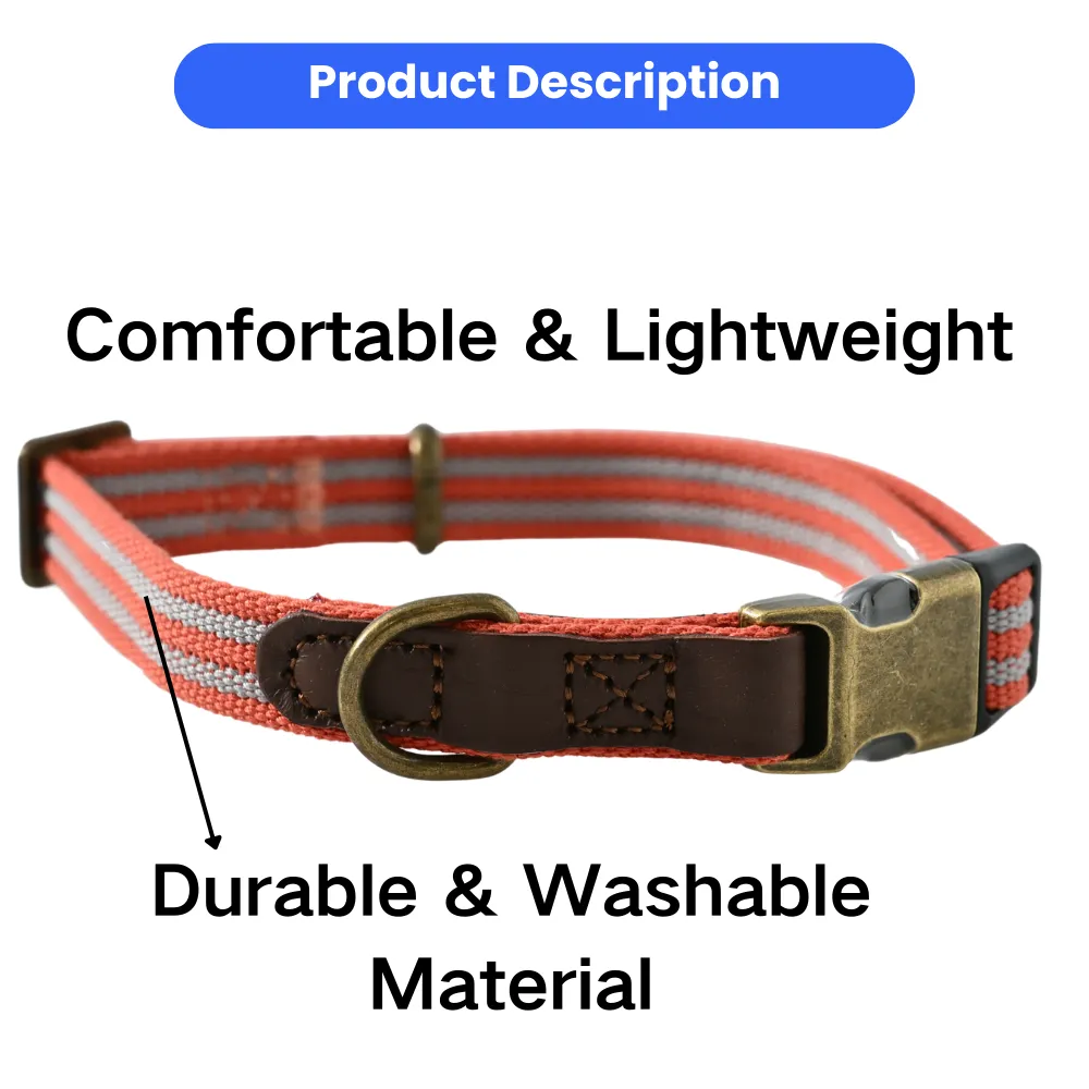 pet dog collar_9 pet dog collar_9
