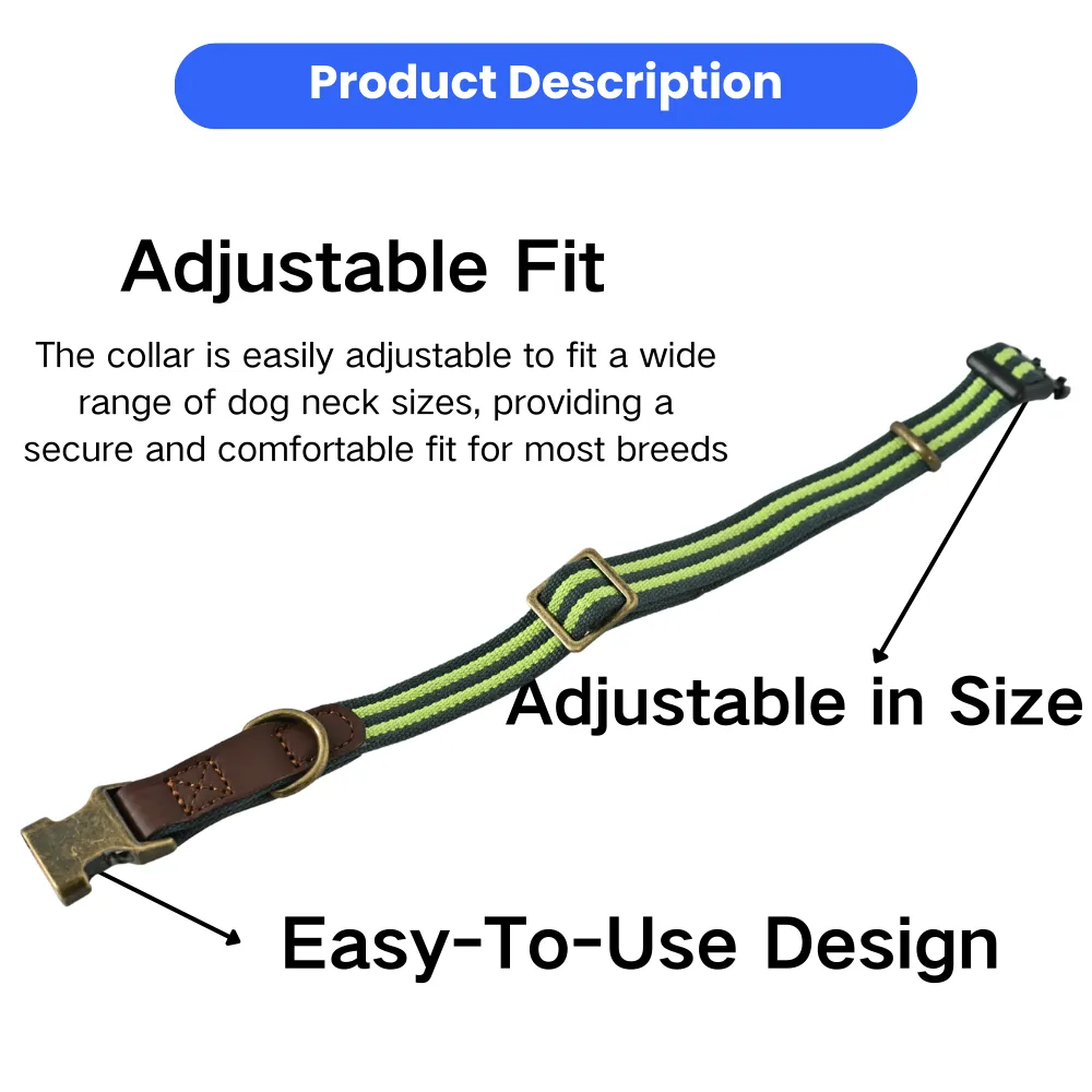 pet dog collar_12 pet dog collar_12