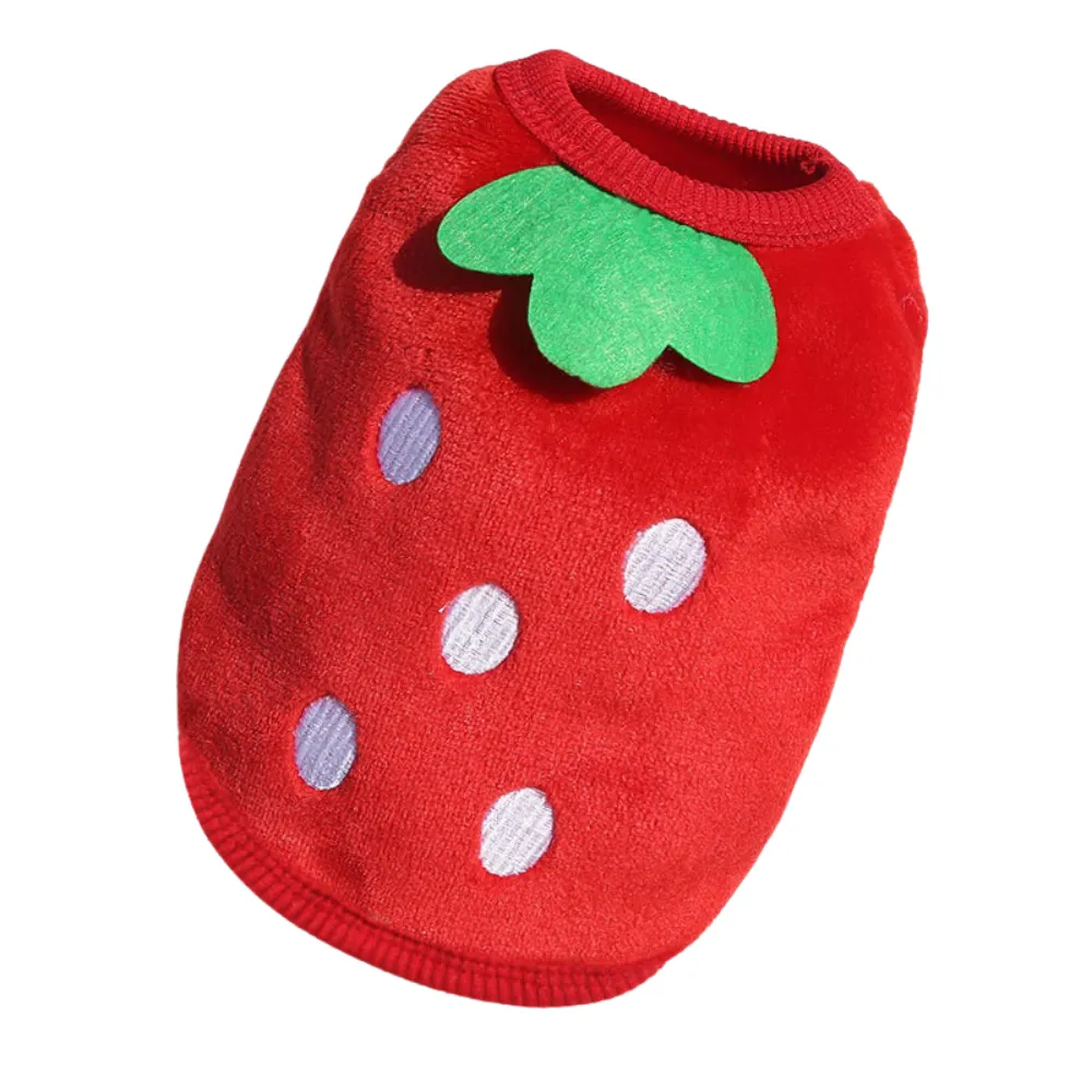 small dog clothing small dog clothing